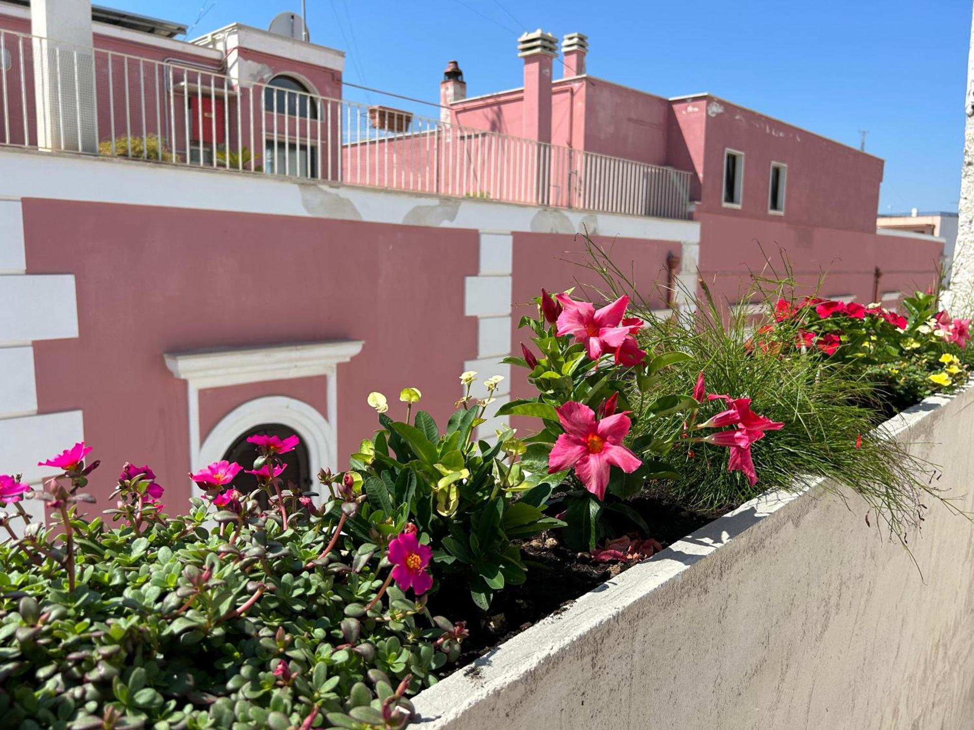 Trame Dimora Rachele Bed and Breakfast Polignano a Mare Buitenkant foto